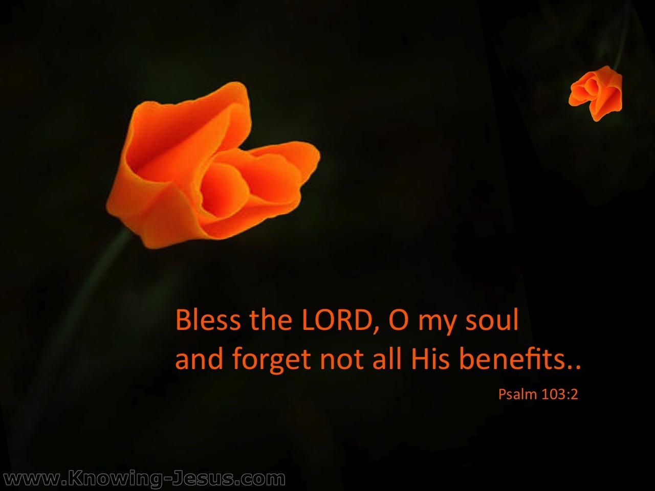 Psalm 103:2 Bless The Lord Oh My Soul (black)